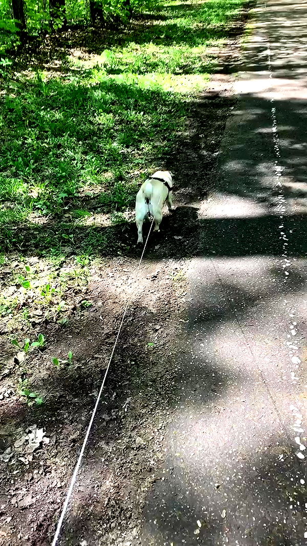 nyityam archive video preview