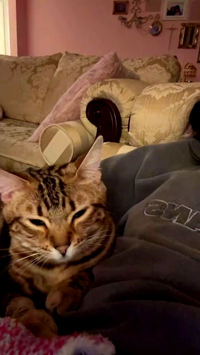 laurinchhhe laurinchhhe archive video