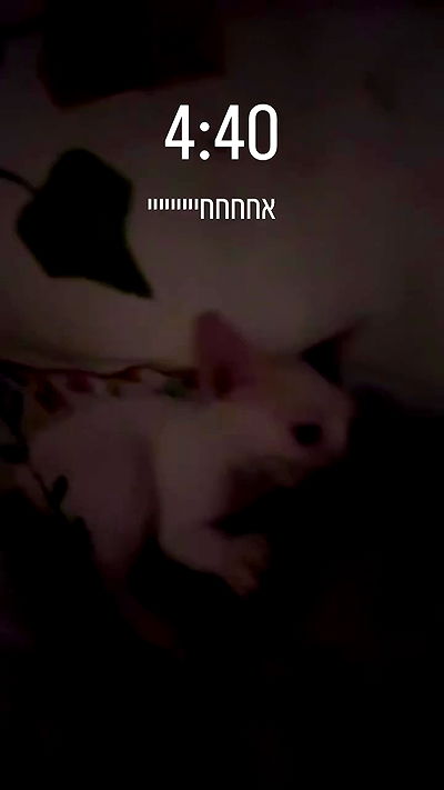 natalllluli natalllluli archive video