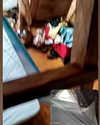 alicia.c555 Altpins Profile Picture