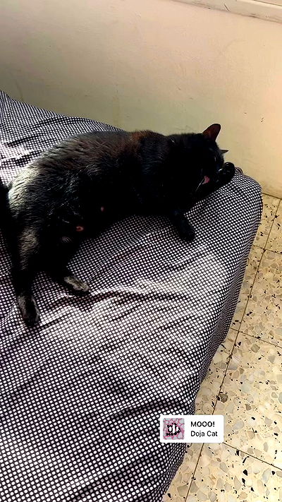 hellokittyangel666 hellokittyangel666 archive video