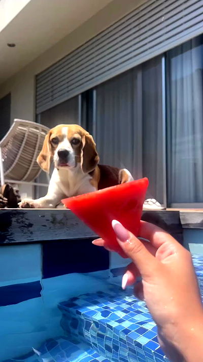 emily.otaku emily.otaku archive video