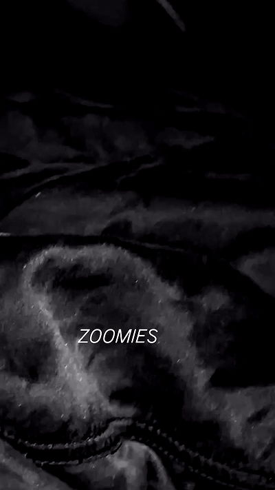 dreambabydrea dreambabydrea archive video