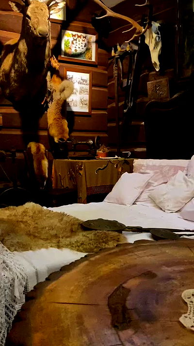 noa_zemlyanski noa_zemlyanski archive video