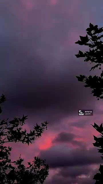 piper.jaylen piper.jaylen archive video