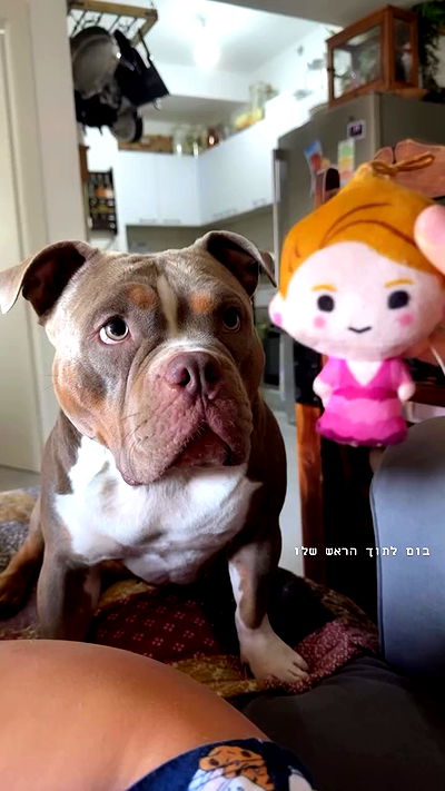 kesemgreenyer kesemgreenyer archive video