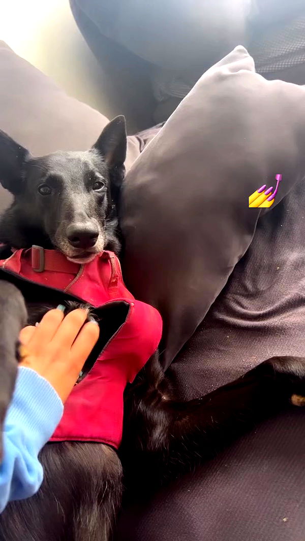 hellokittyangel666 archive video preview