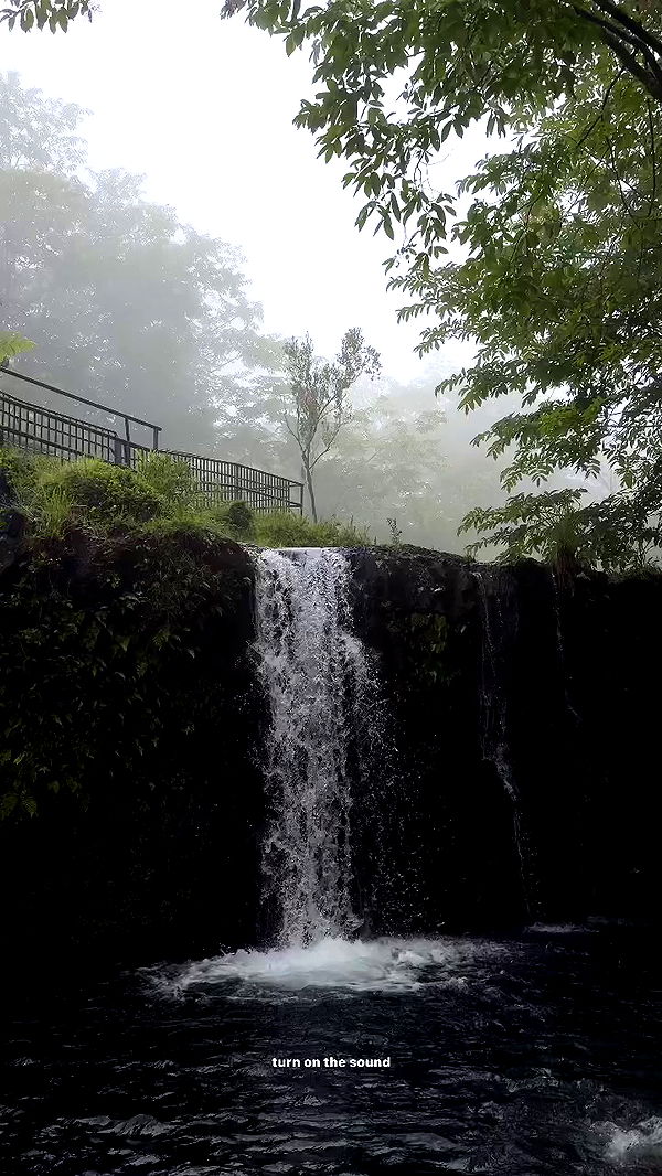 nevaaadaa archive video preview