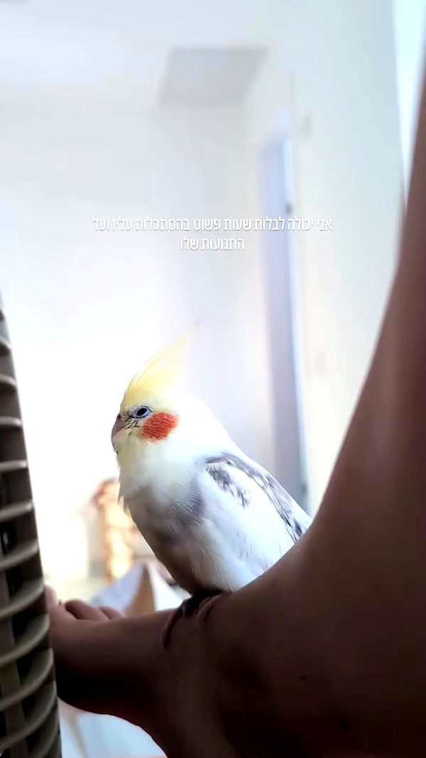 tinapavlov.sky archive video preview