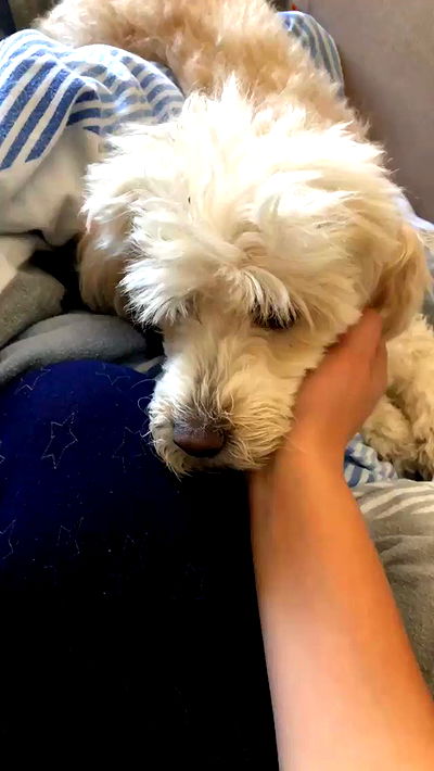 feelbetterinmysweater feelbetterinmysweater archive video