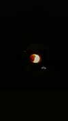 moon._.aquarian_ Altpins Profile Picture