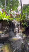 eli_natan_ Altpins Profile Picture