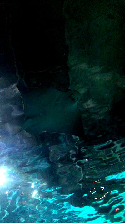 najavamp najavamp archive video