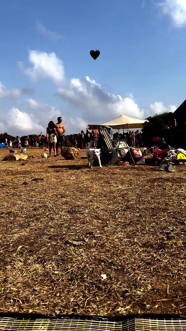 romy_ayalla_lavi archive video preview