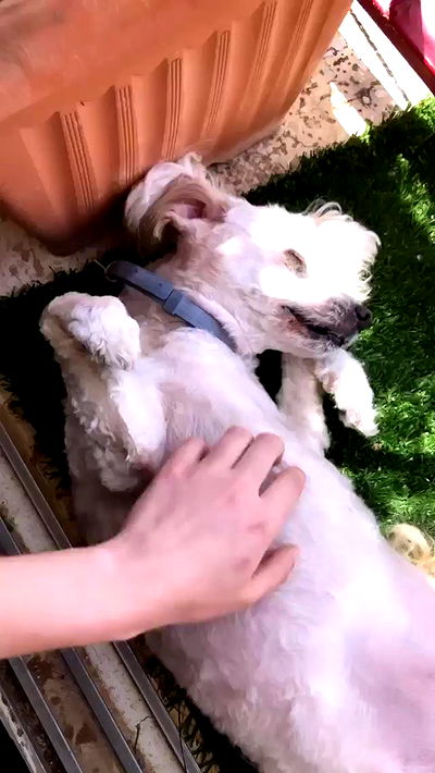 feelbetterinmysweater feelbetterinmysweater archive video