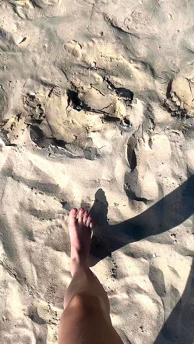 annfigma annfigma archive video