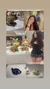 sophiagiannamore Altpins Profile Picture