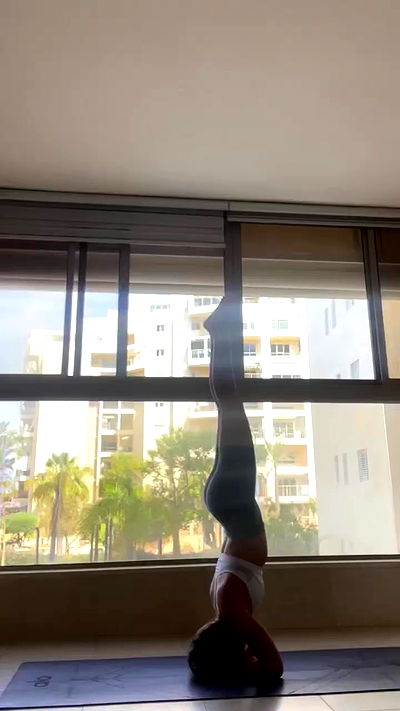 liad.arazi liad.arazi archive video