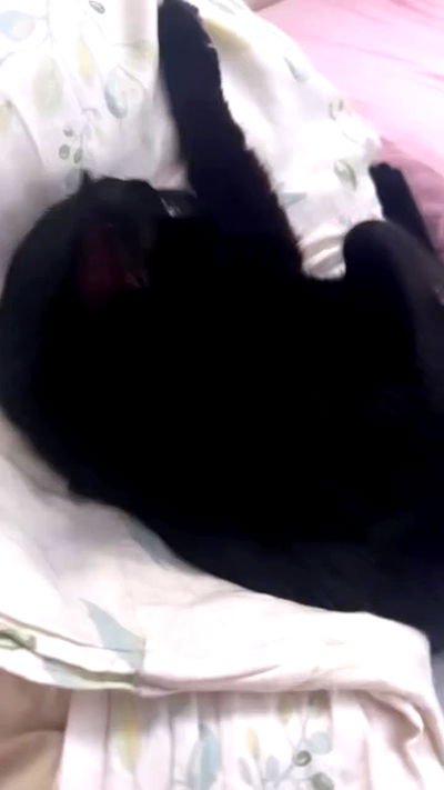 hellokittyangel666 hellokittyangel666 archive video