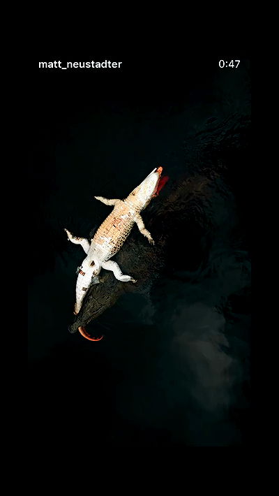 rebecka_tsadok rebecka_tsadok archive video