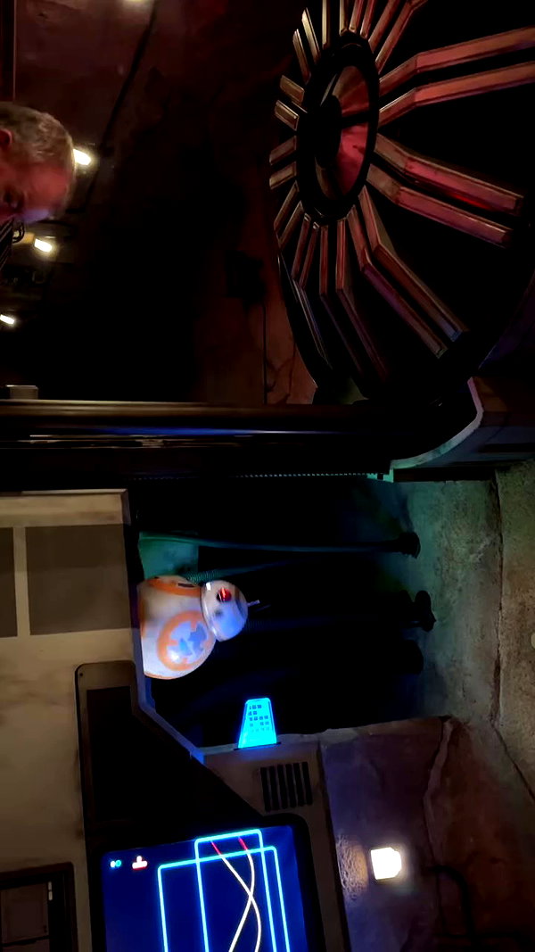 elsgatti archive video preview
