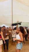 hadas_mayer_ Altpins Profile Picture