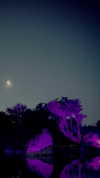 calyen Altpins Profile Picture