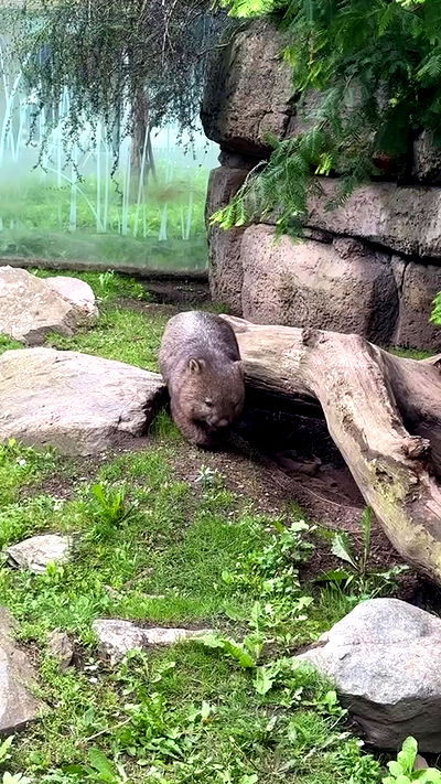 shelly_.mor shelly_.mor archive video