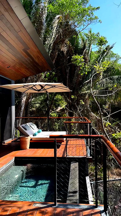 carolinezalog carolinezalog archive video