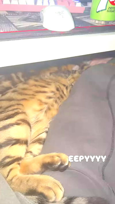 laurinchhhe laurinchhhe archive video