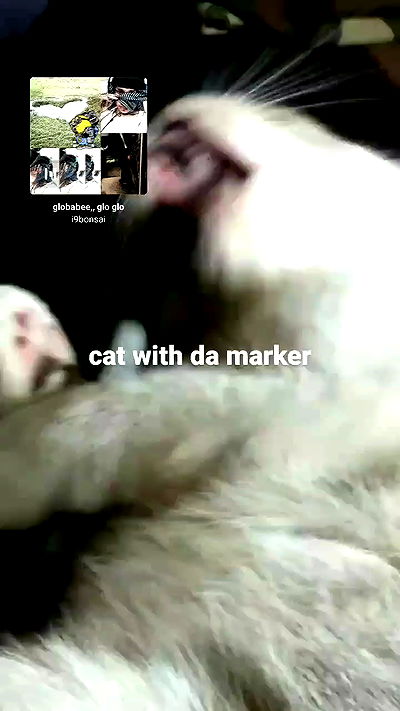 pinchchicken pinchchicken archive video