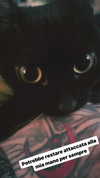 calyen Altpins Profile Picture