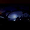 zaperwave Altpins Profile Picture