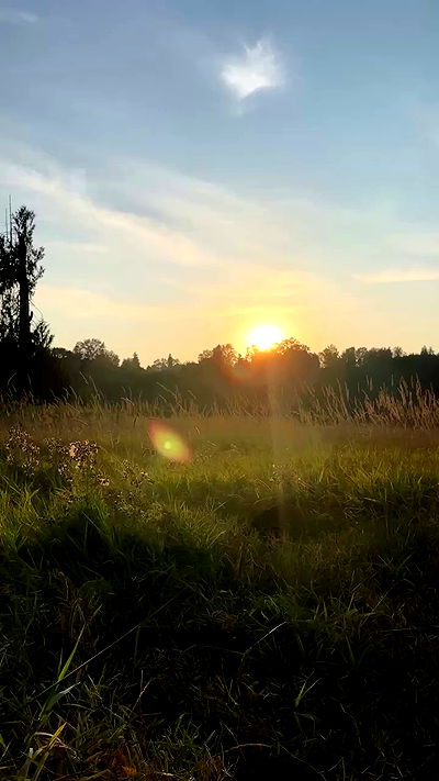 quarterjade quarterjade archive video