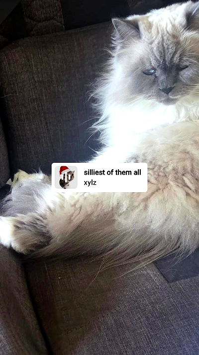 avital_1010.2003 avital_1010.2003 archive video