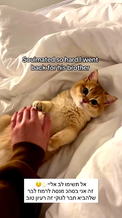 itsilanosh itsilanosh archive video