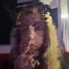 soll_f0 Altpins Profile Picture