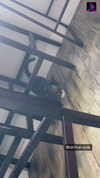 heathergrace67 Altpins Profile Picture