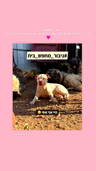 kesemgreenyer kesemgreenyer archive video