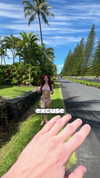 xxandieelle Altpins Profile Picture