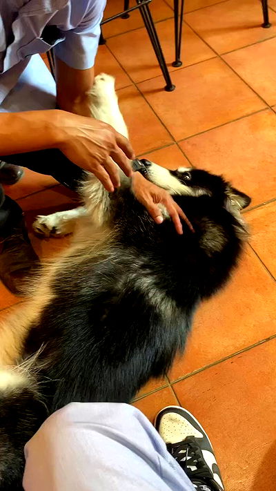 oqr0_ oqr0_ archive video