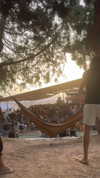 mai_glazer Altpins Profile Picture
