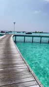 liya_manor_ Altpins Profile Picture