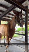sierraccabot Altpins Profile Picture