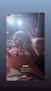 kenziee.scott Altpins Profile Picture