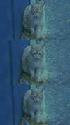urluv.09 Altpins Profile Picture