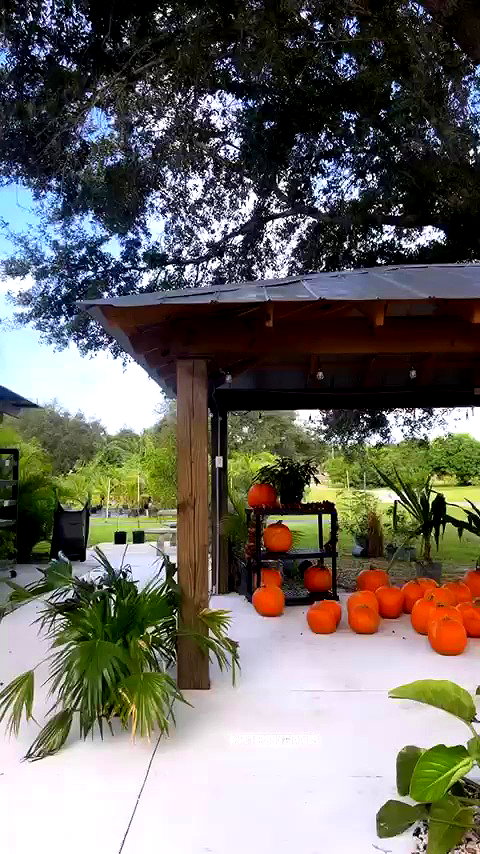 leahsylvander archive video preview