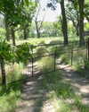 sarah.anne.dipity Altpins Profile Picture