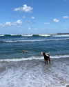 milena_kofef Altpins Profile Picture
