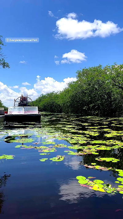 payton.r payton.r archive video